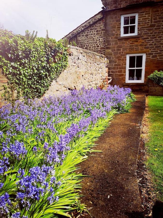 Grange Farm Lodge Ripon Eksteriør billede